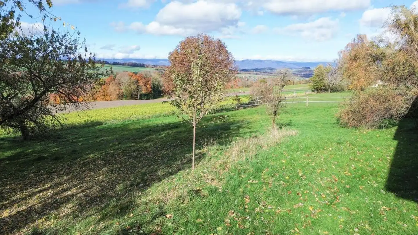 Maison individuelle à vendre - Route De La Pâle 5, 1046 Rueyres - Photo 4