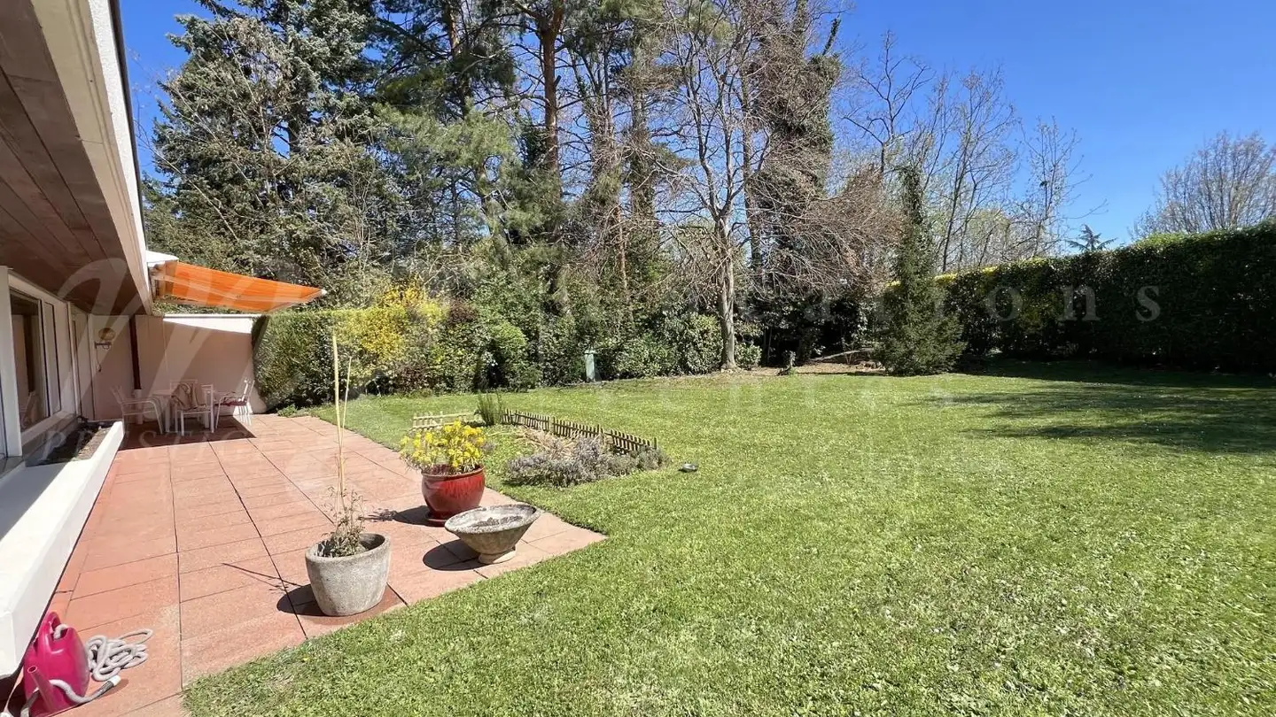 Maison individuelle à louer - 1226 Thônex