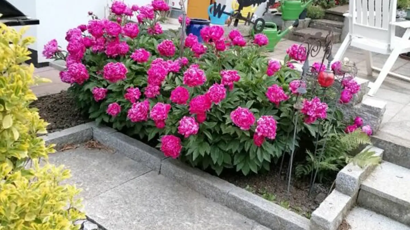 Casa singola in vendita - Liestalerstrasse 23, 4419 Lupsingen - Photo 3