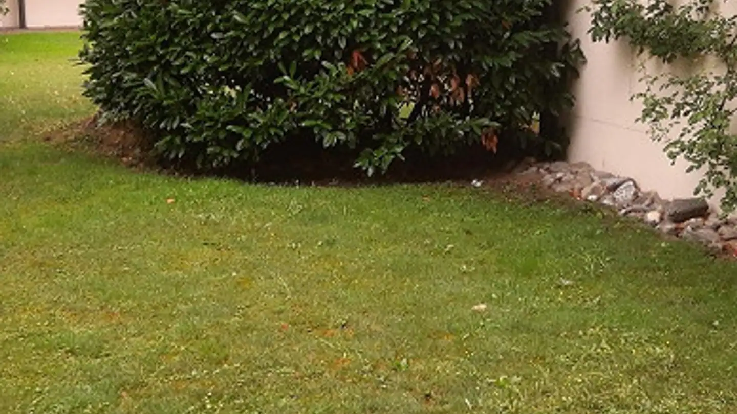 Appartamento in vendita - Im Ochsenbrunnen 8, 7310 Bad Ragaz