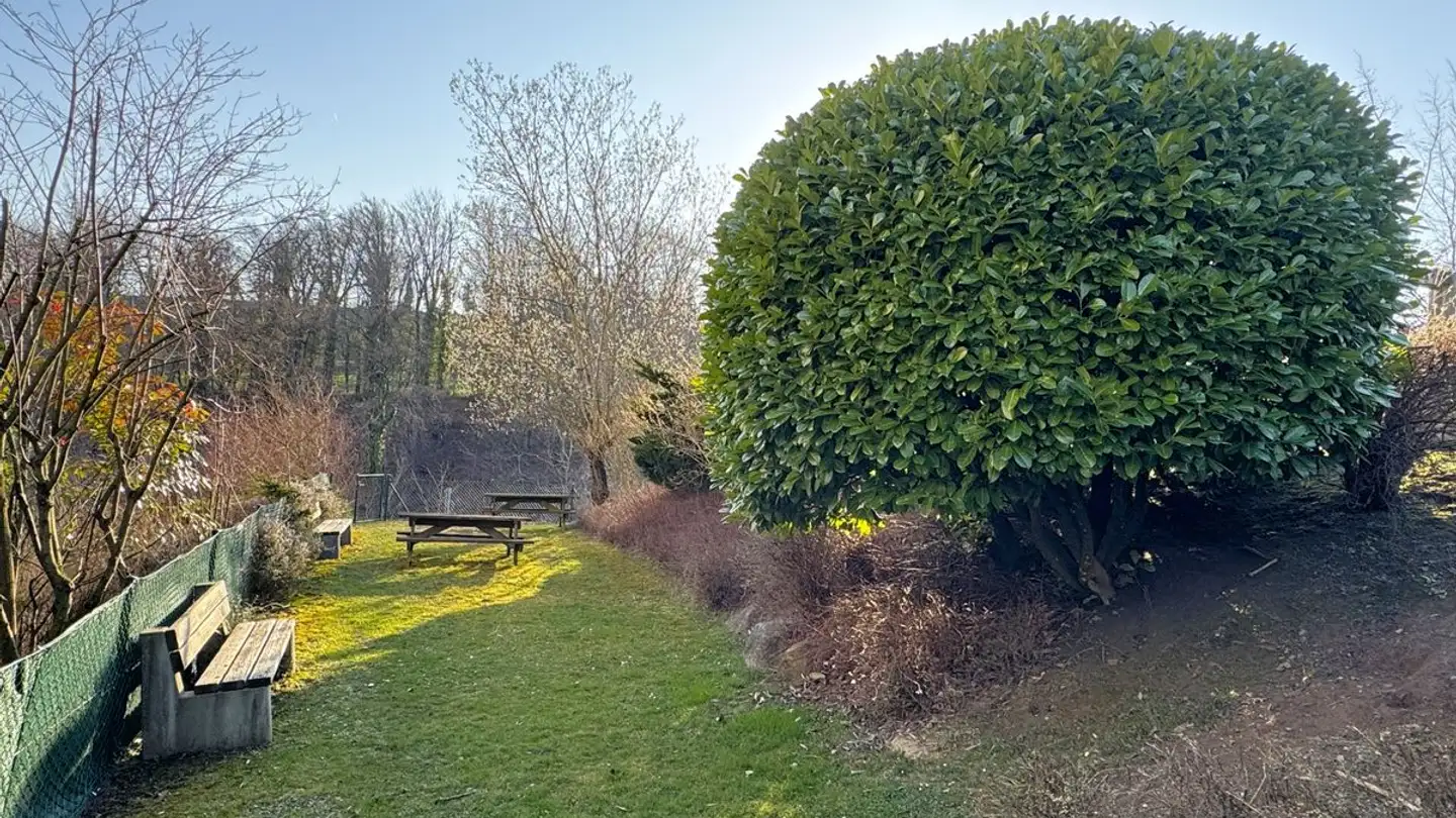 Appartamento in vendita - 1071 Chexbres - Foto 2