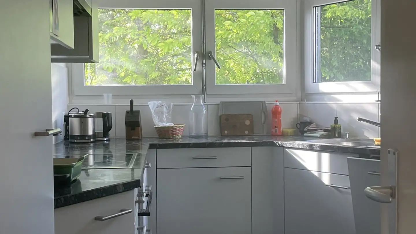Appartement à louer - 8049 Zürich - Photo 3