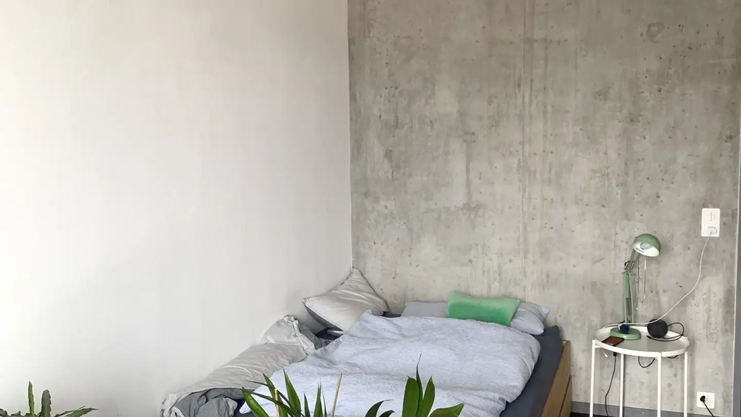 Stanza singola in affitto - Uetlibergstrasse 111, 8045 Zürich - Foto 2