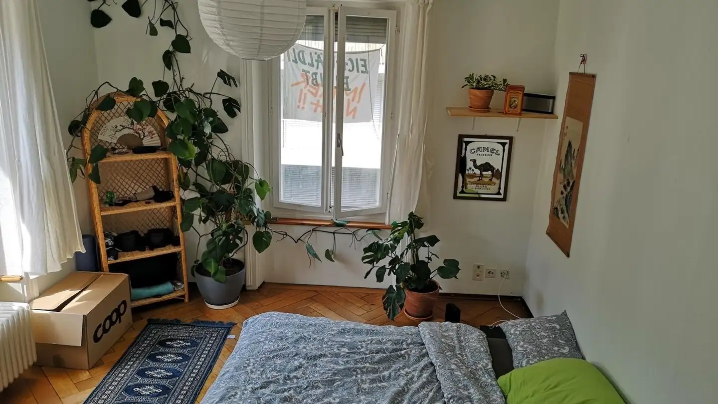 Single room for rent - 6003 Luzern - Photo 2