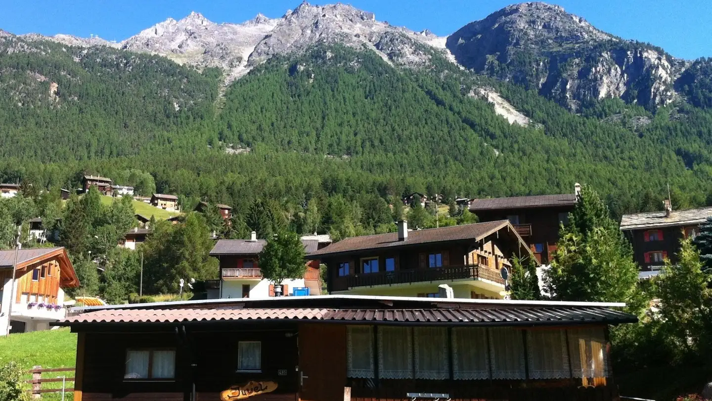 Maison individuelle à vendre - Eschulbodoweg, 3925 Grächen - Photo 2