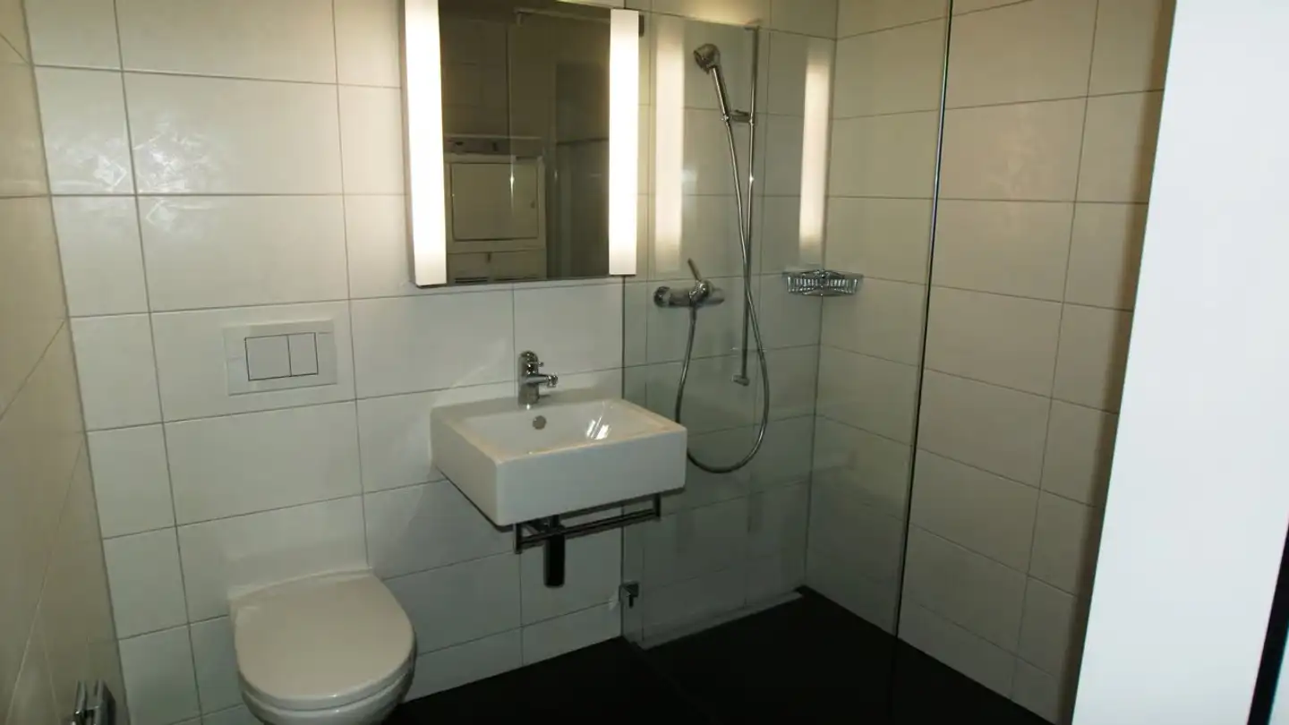Appartamento in affitto - Rudolf-Hägi-Strasse, 8052 Zürich - Foto 3