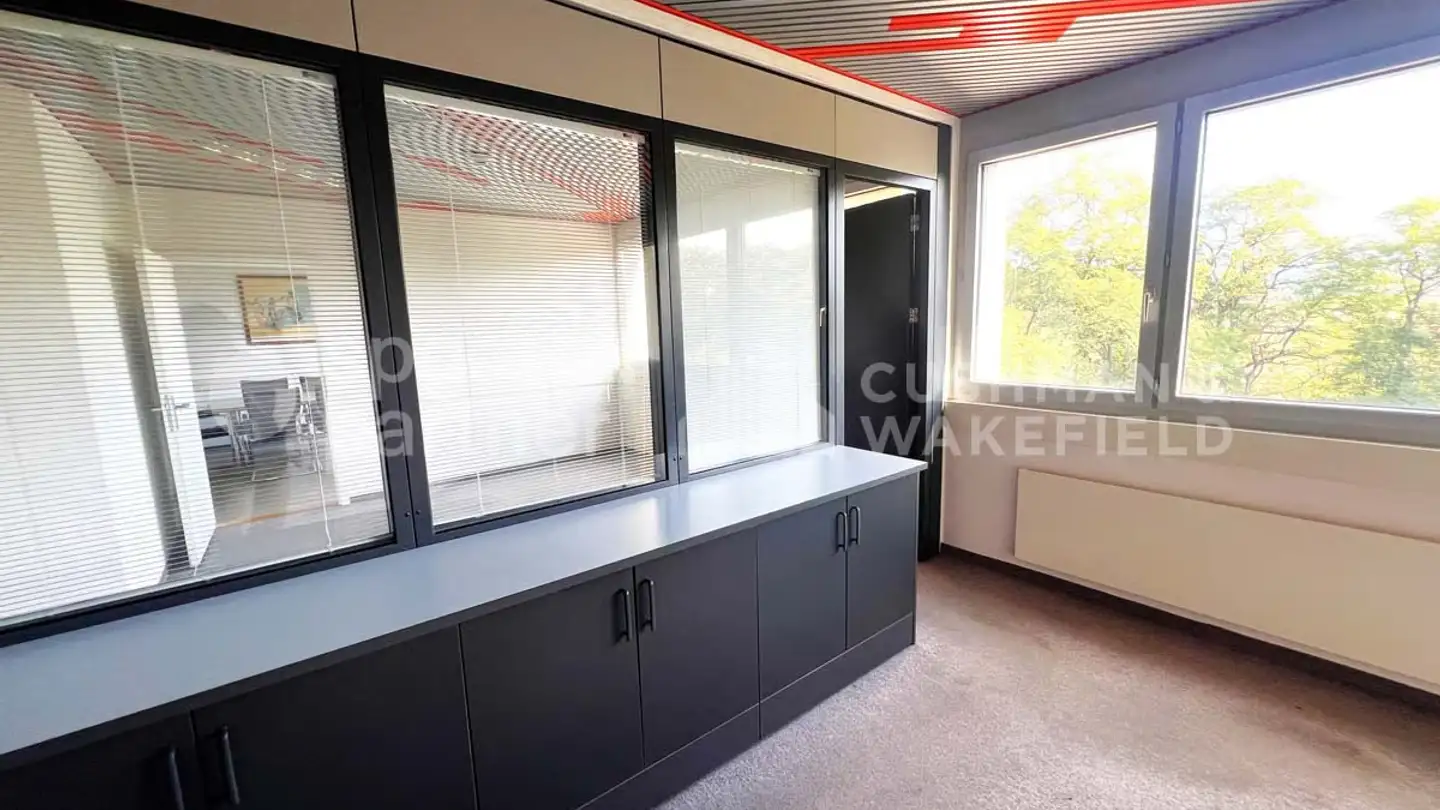 Spazio ufficio in vendita - Route De Saint-Cergue 297, 1260 Nyon - Foto 3