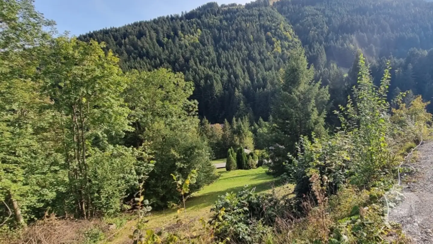 Appartamento in vendita - Chemin De La Cheurgne 31, 1899 Torgon - Photo 2