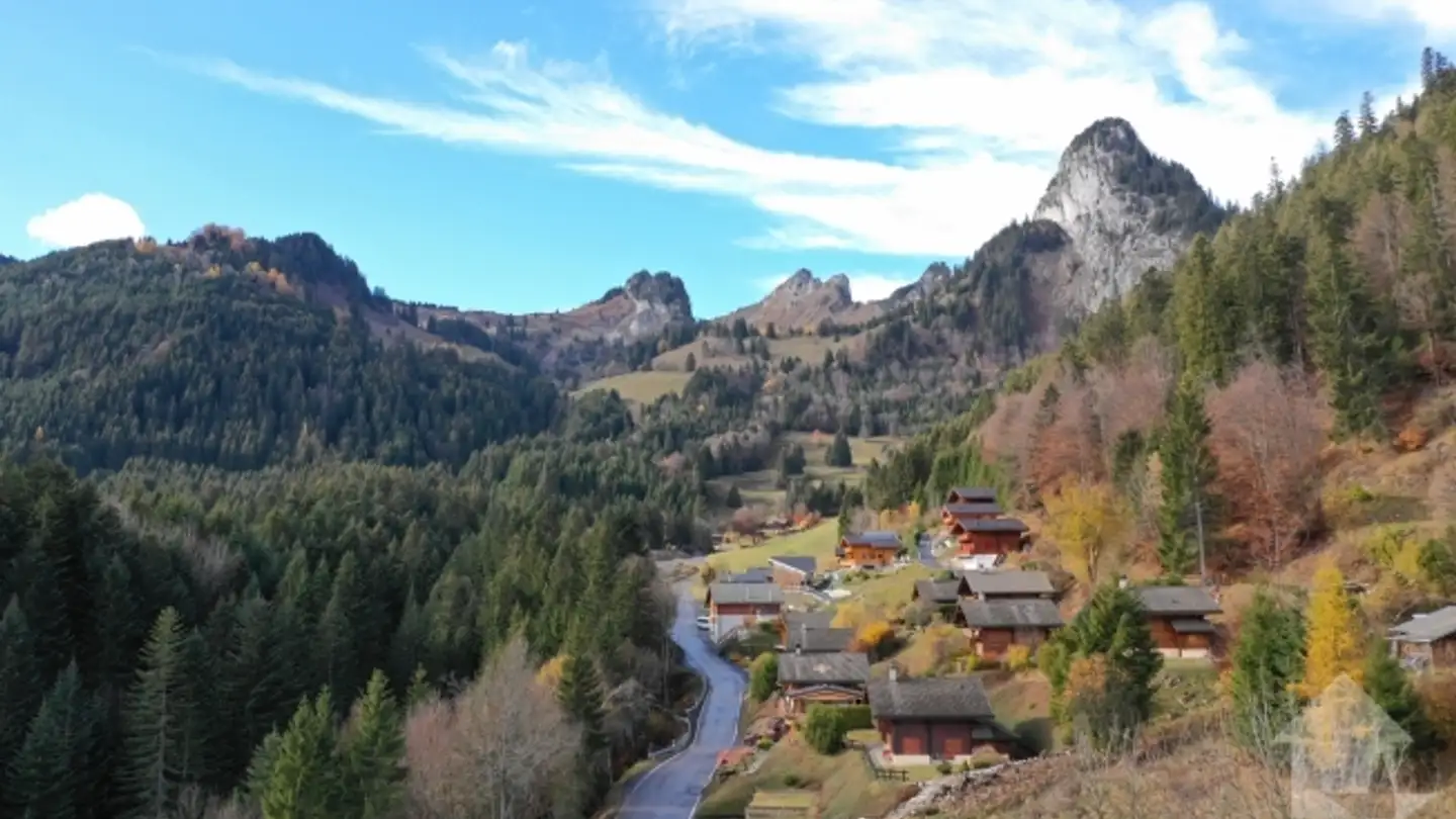 Appartamento in vendita - Chemin De La Cheurgne 31, 1899 Torgon - Photo 3