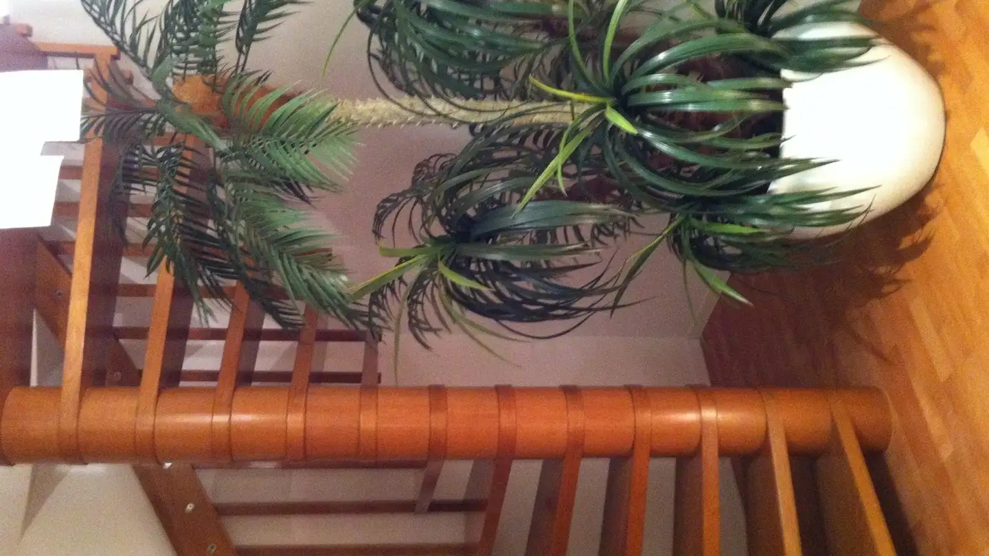 Single room for rent - 1005 Lausanne - Photo 4