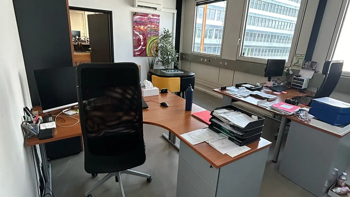 Workshop for rent - Chemin Des Aulx 18, 1228 Plan-les-Ouates - Photo 3