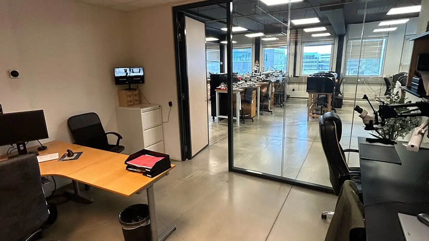 Workshop for rent - Chemin Des Aulx 18, 1228 Plan-les-Ouates - Photo 4