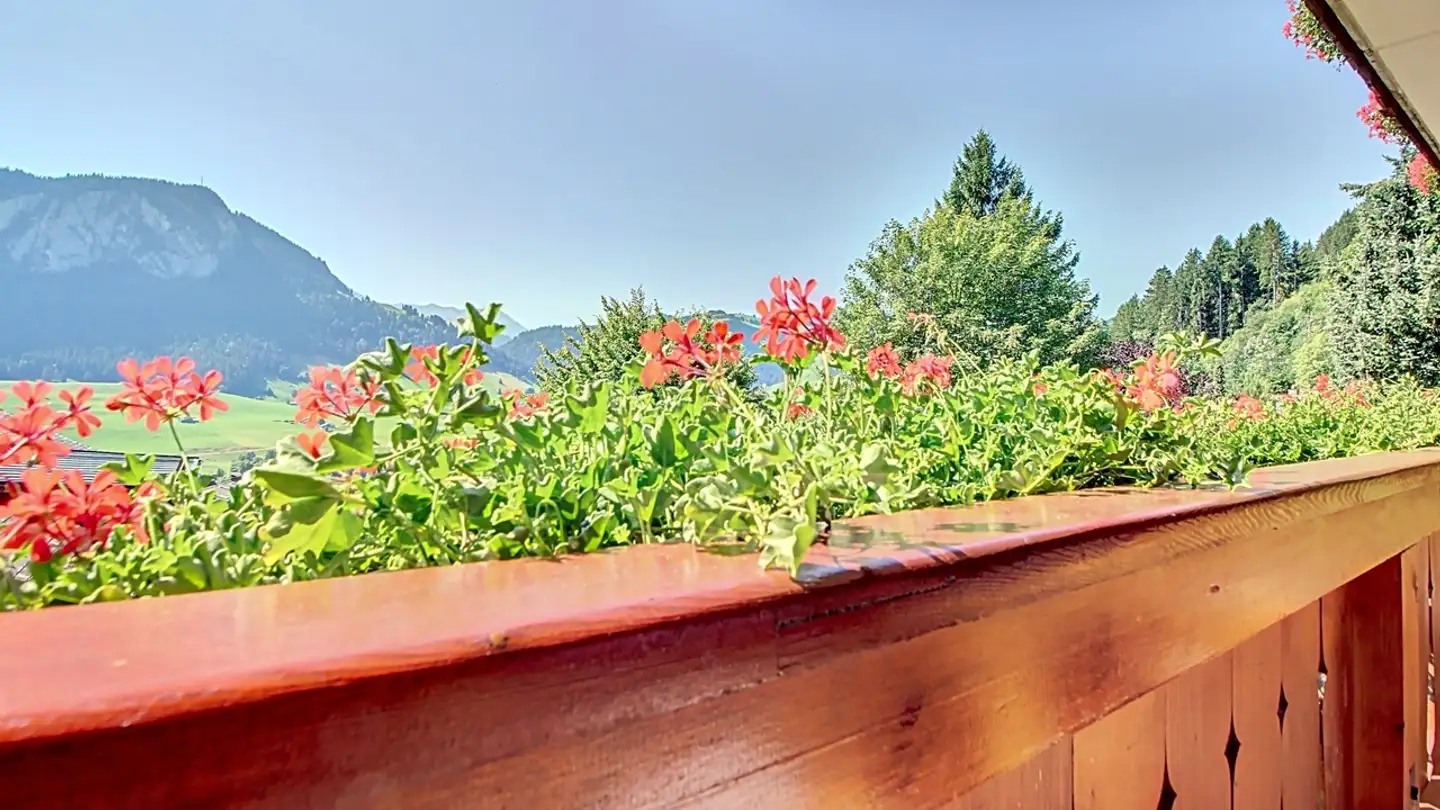 Appartamento in vendita - 1660 Château-d'Oex - Photo 2