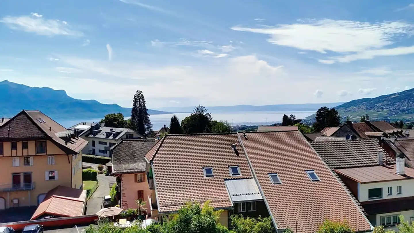 Appartamento in vendita - Route De Saint Légier, 1807 Blonay - Foto 4