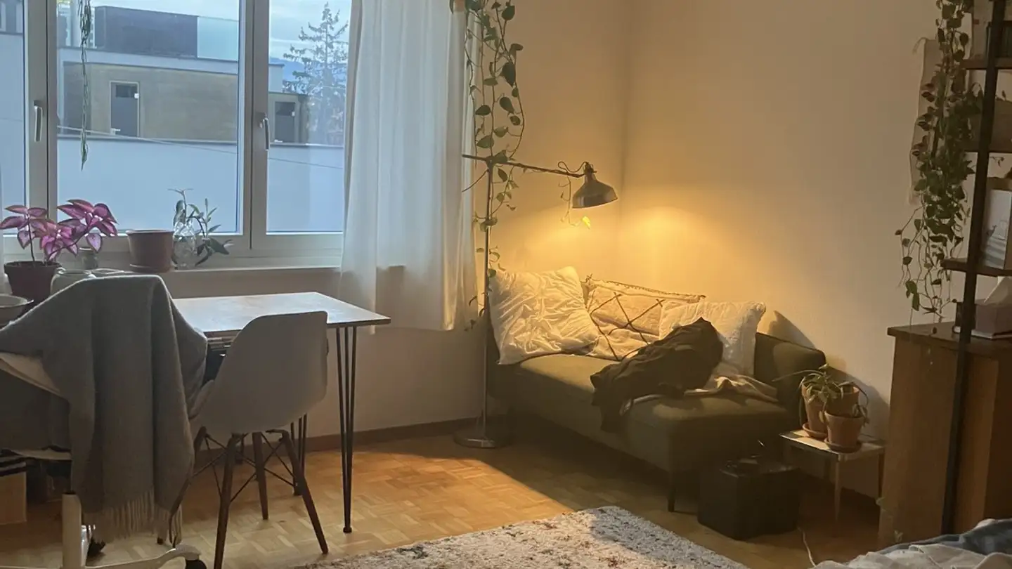 Appartamento in affitto - 8037 Zürich