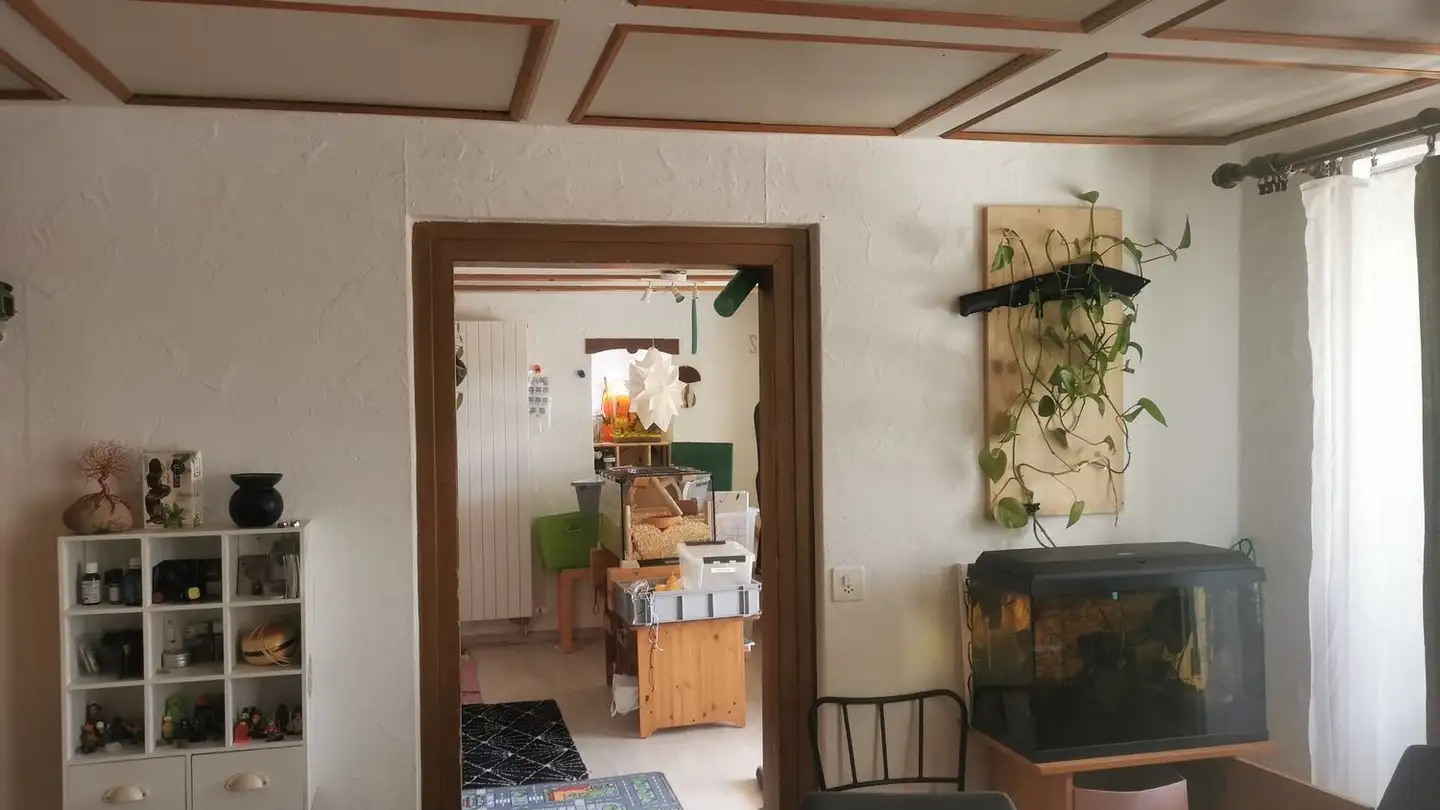 Wohnung mieten - Mitteldorfstrasse 24, 8966 Oberwil-Lieli
