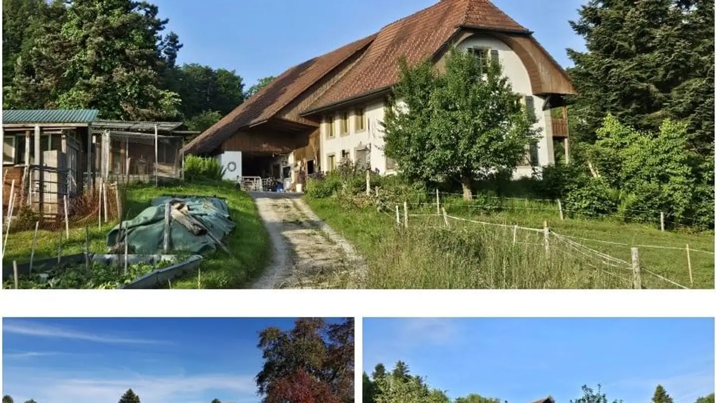 Ferme à vendre - 5053 Staffelbach