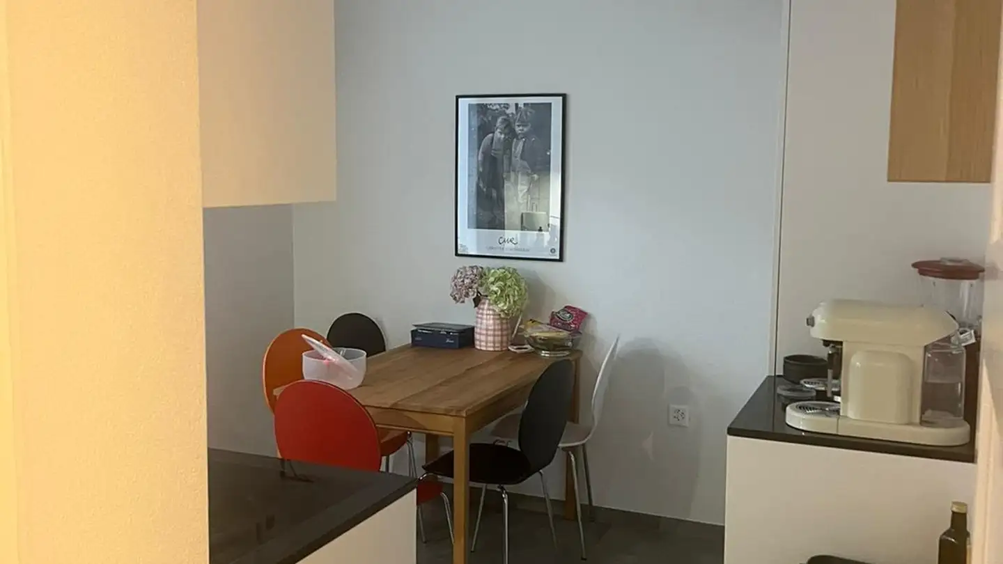 Chambre à louer - 8050 Zürich - Photo 3
