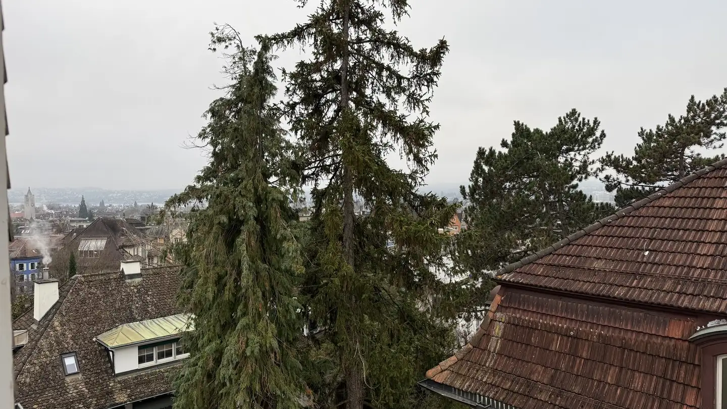 Stanza singola in affitto - Hofstrasse 53, 8032 Zürich - Foto 3