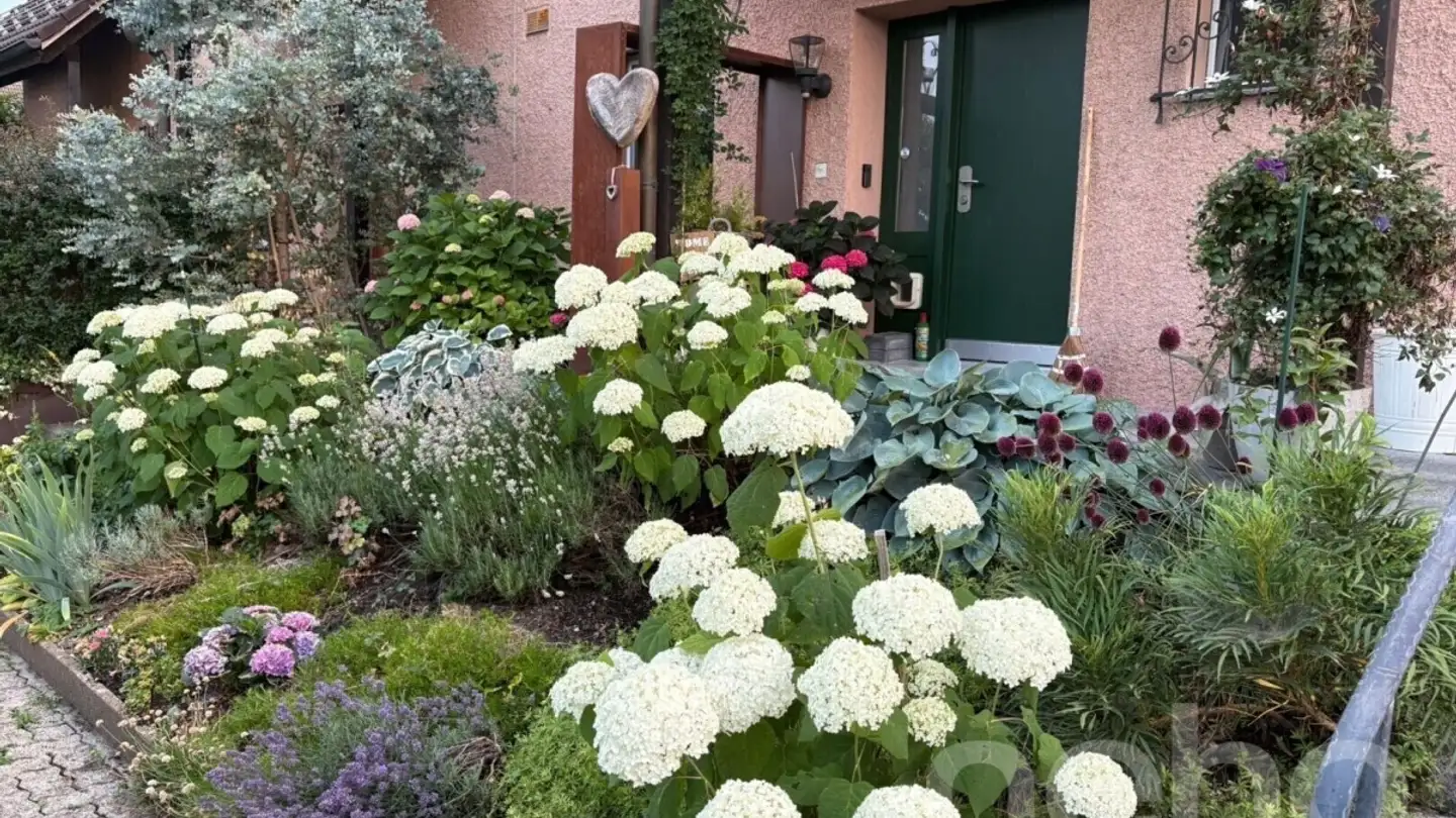 Row house for sale - 8122 Binz - Photo 2