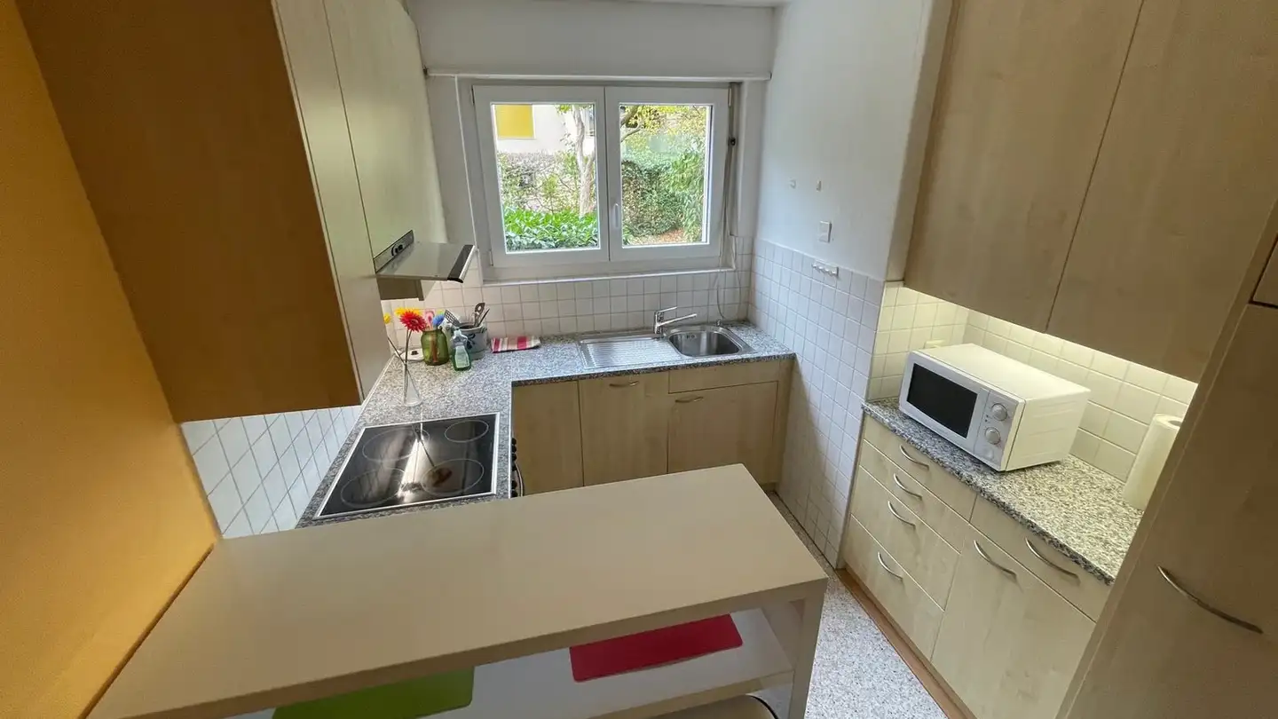 Furnished apartment for rent - Hanfrose 8, 8055 Zürich