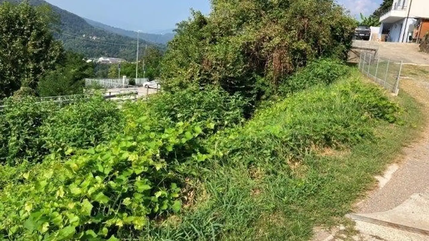 Bauland kaufen - Via Termine, 6998 Monteggio - Foto 3