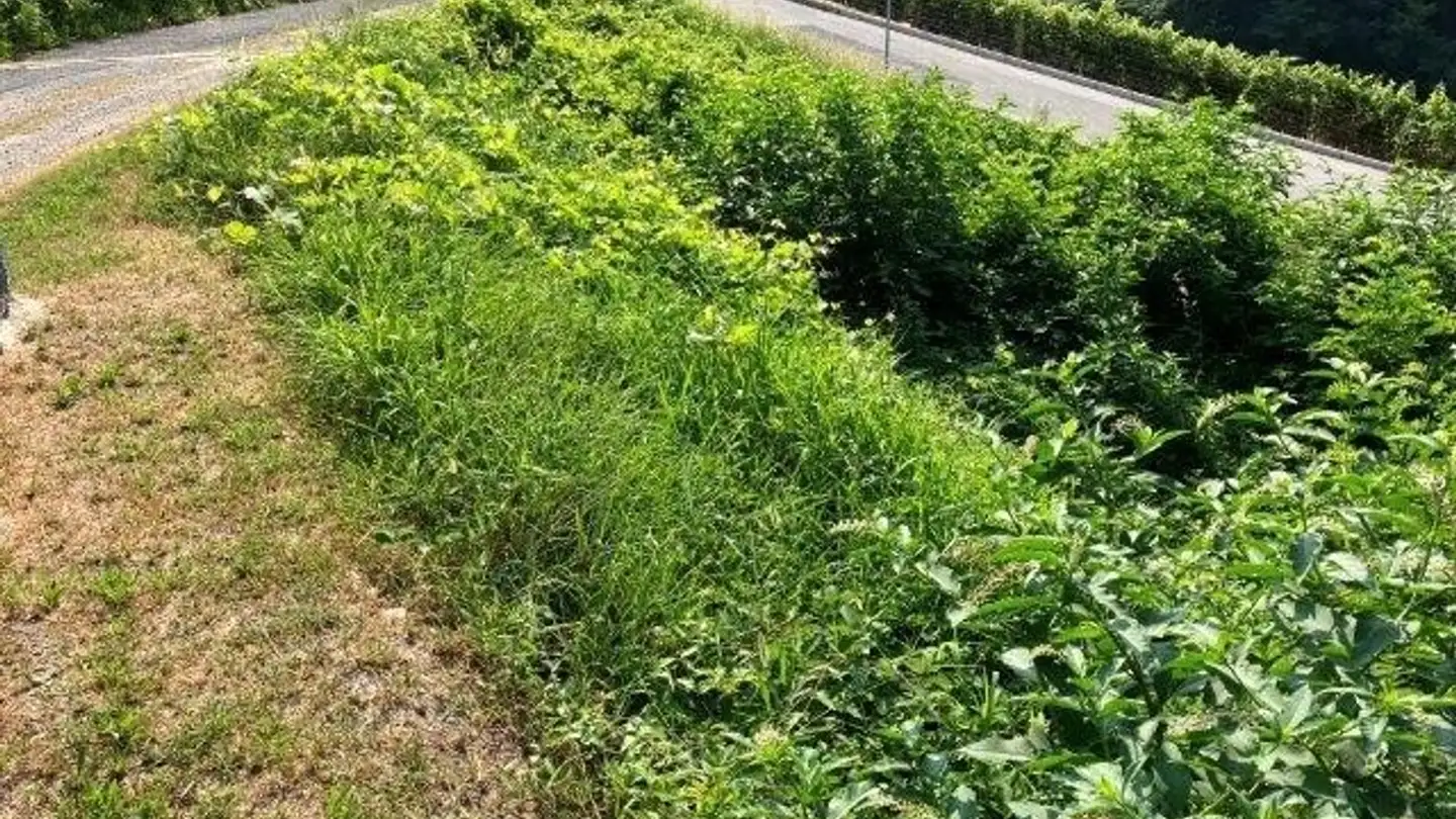 Bauland kaufen - Via Termine, 6998 Monteggio - Foto 4