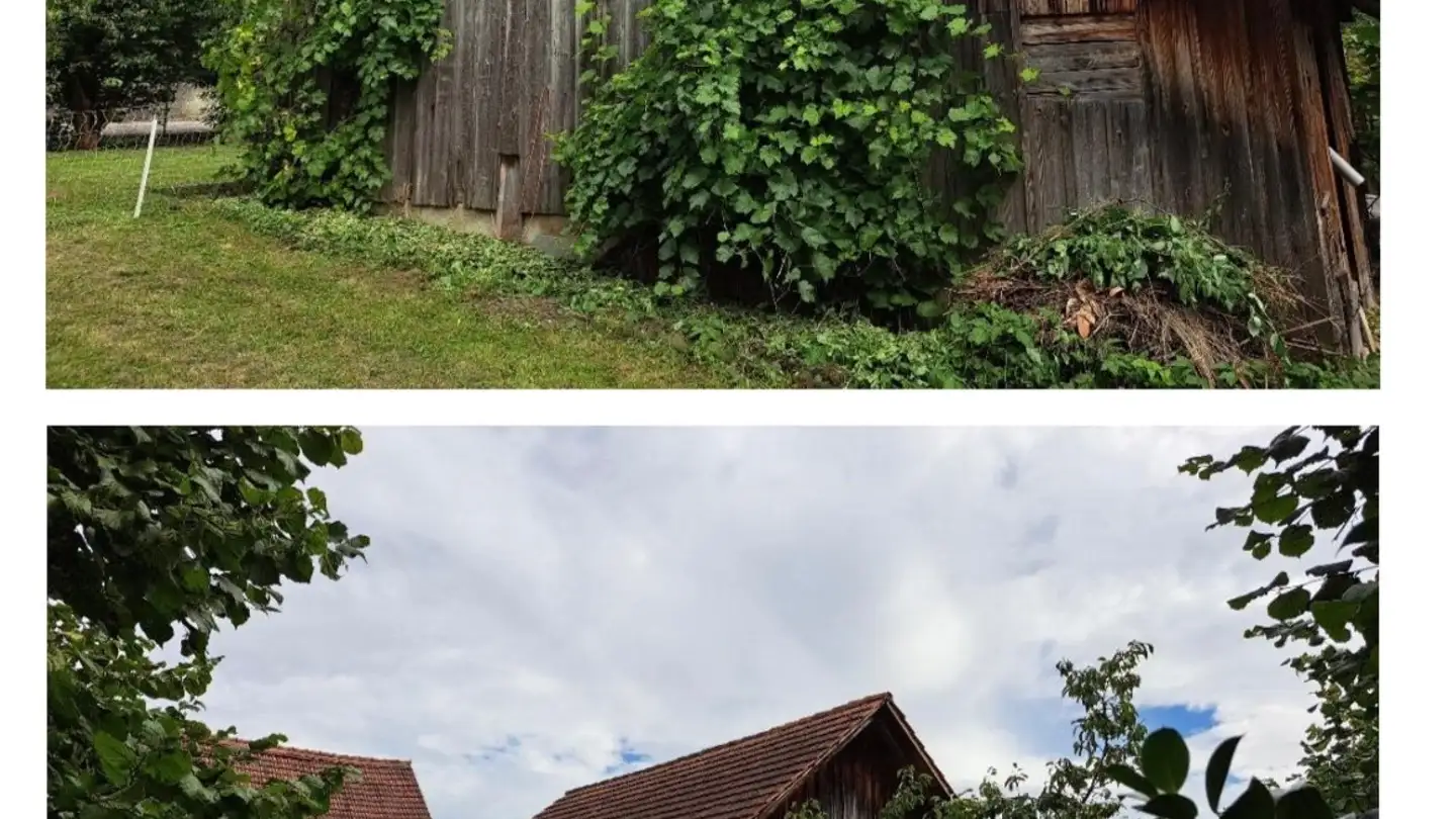 Maison individuelle à vendre - Im Winkel 2, 8535 Herdern - Photo 3