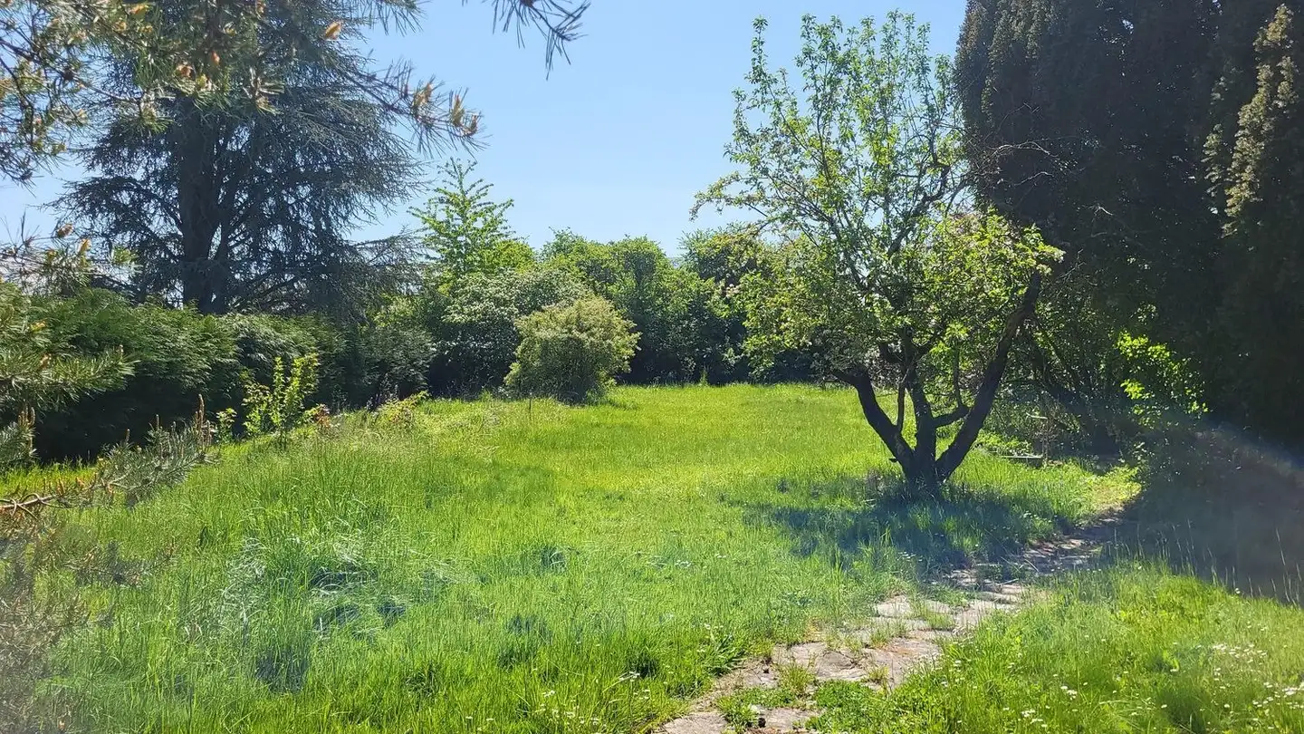 Constructible plot for sale - 1241 Puplinge