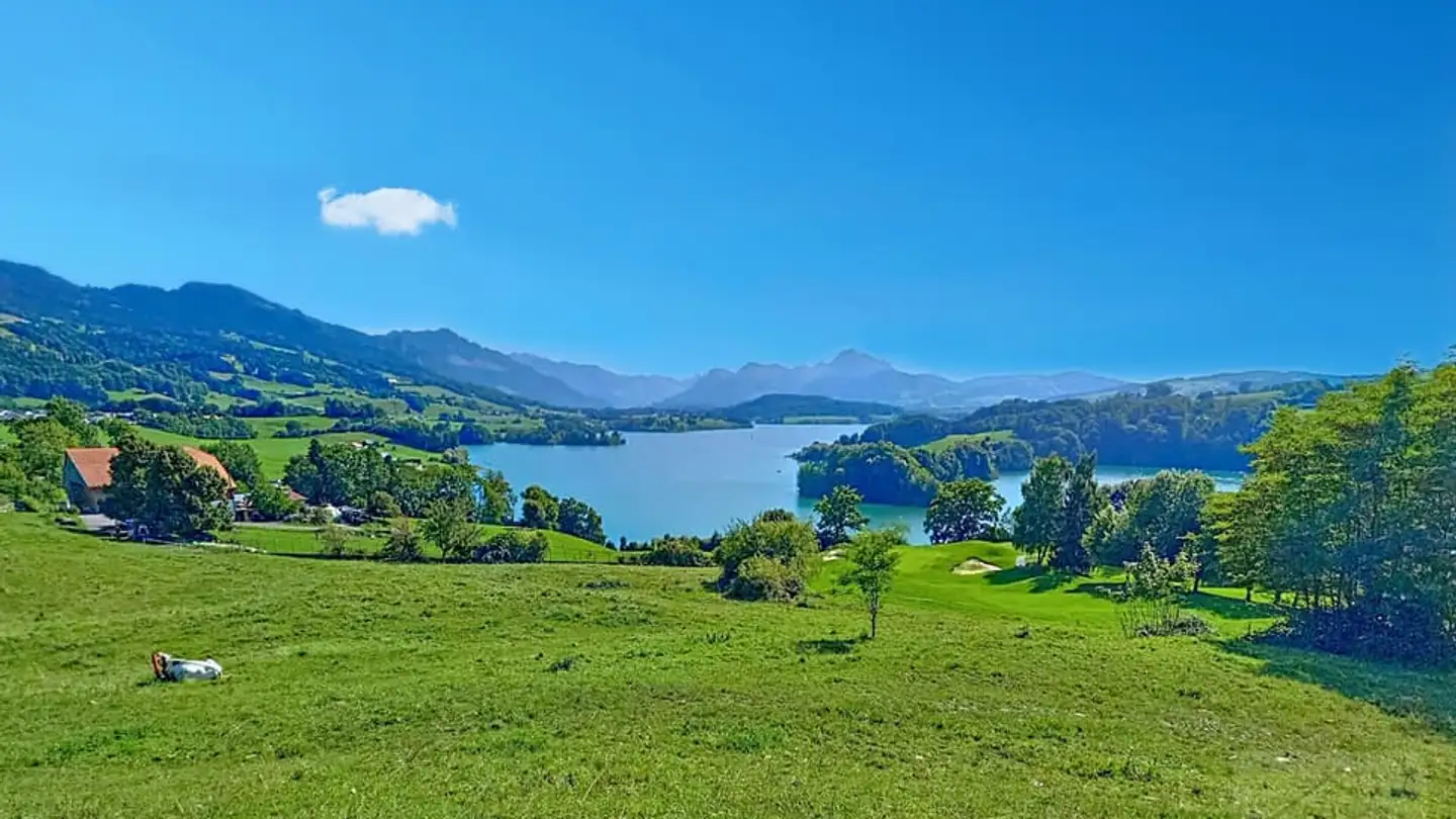 Maison individuelle à vendre - 1634 La Roche FR