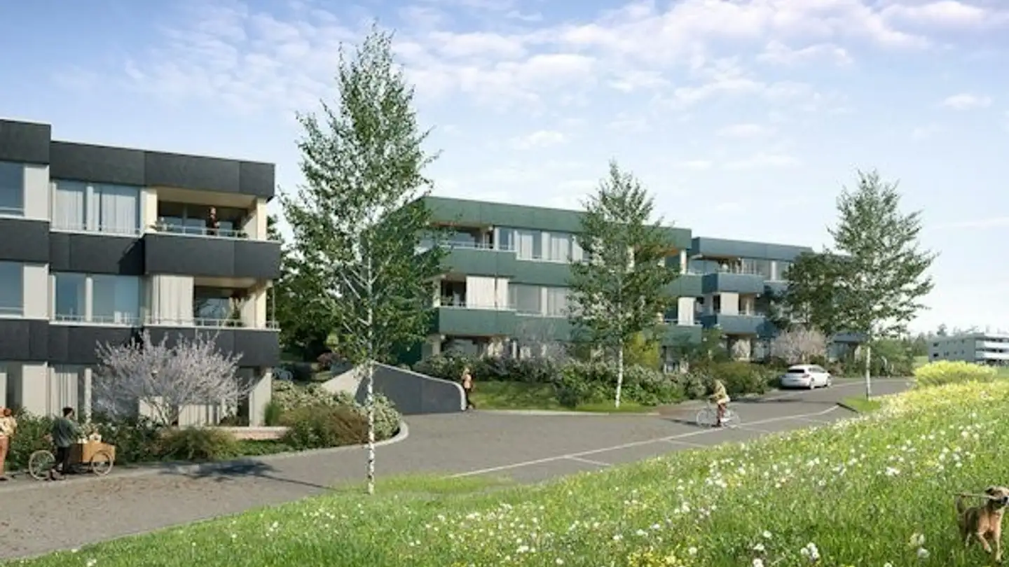Wohnung mieten - Panoramastrasse 19, 8903 Birmensdorf ZH