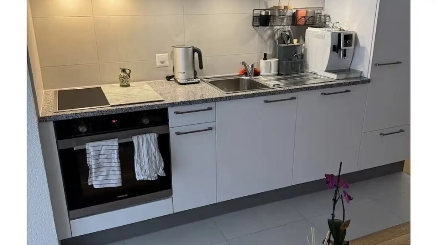 Appartamento in affitto - Rue De La Borde, 1018 Lausanne - Foto 3