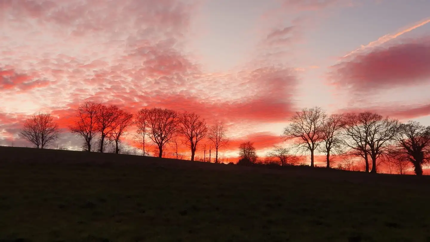 Apartment for rent - 3212 Gurmels - Photo 4