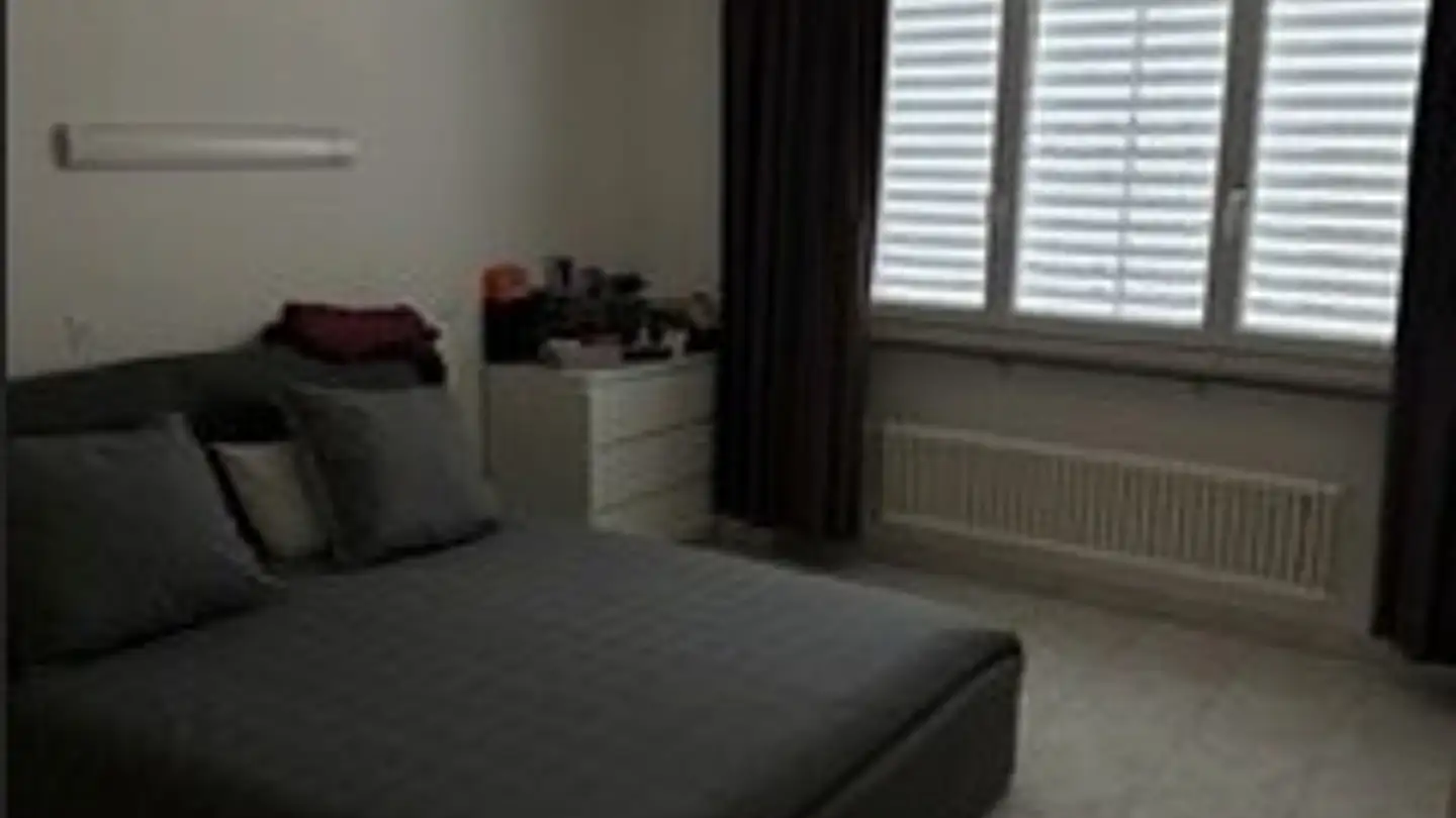 Apartment for rent - Stüdliackerweg 3, 5606 Dintikon - Photo 3