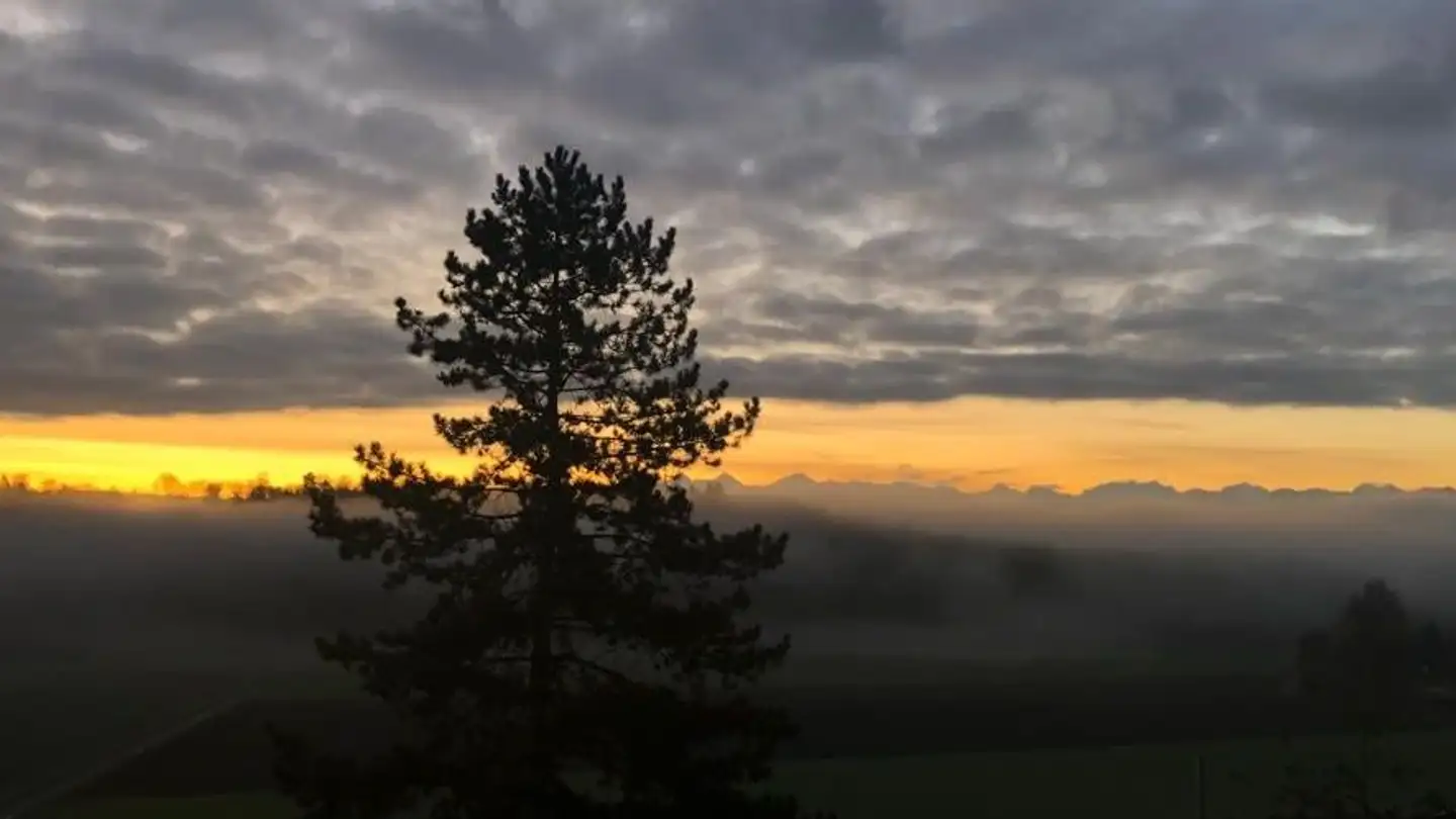 Duplex in affitto - Friedhagweg 93, 3047 Bremgarten b. Bern