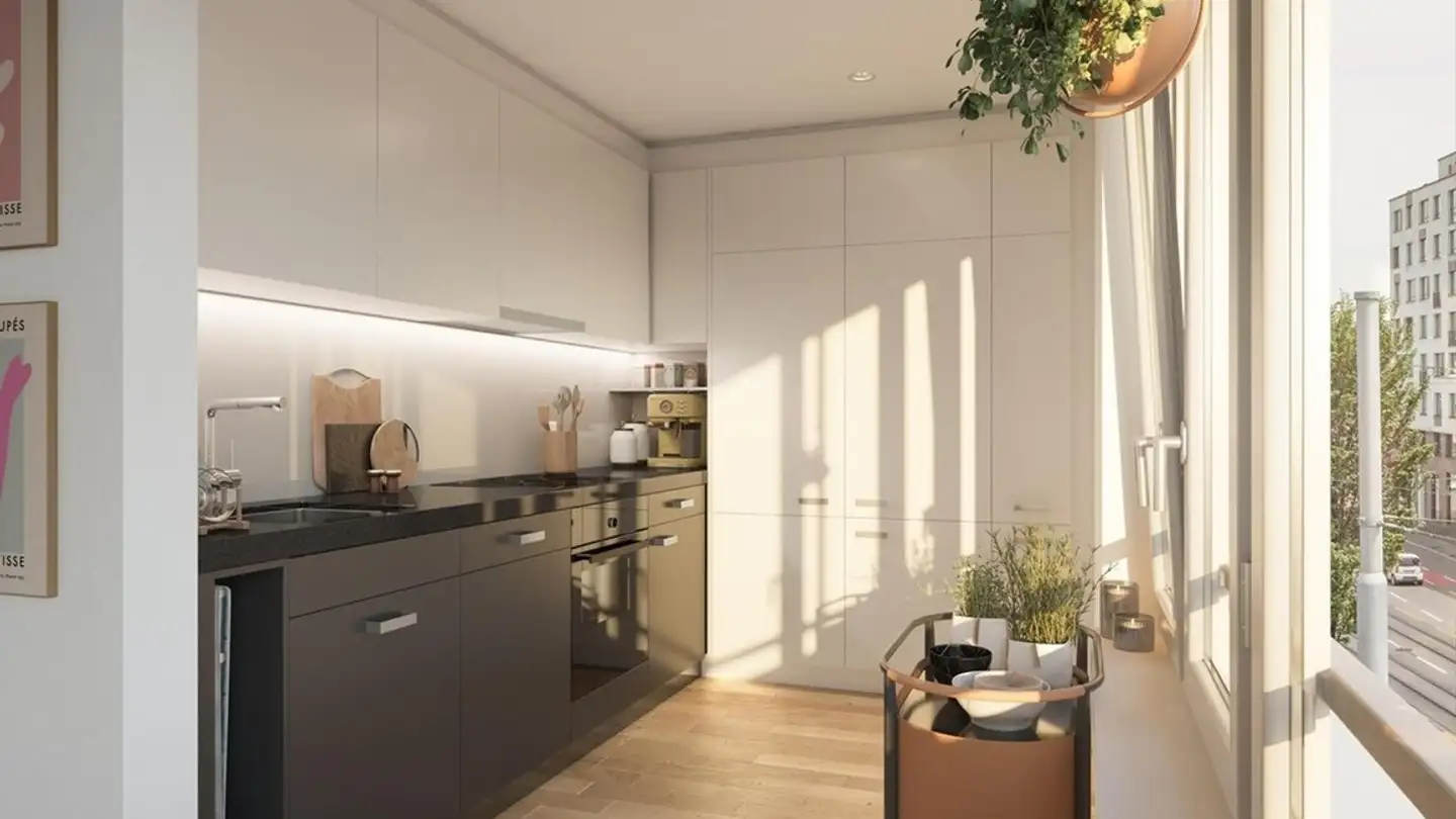 Chambre à louer - Birmensdorferstrasse 450, 8055 Zürich