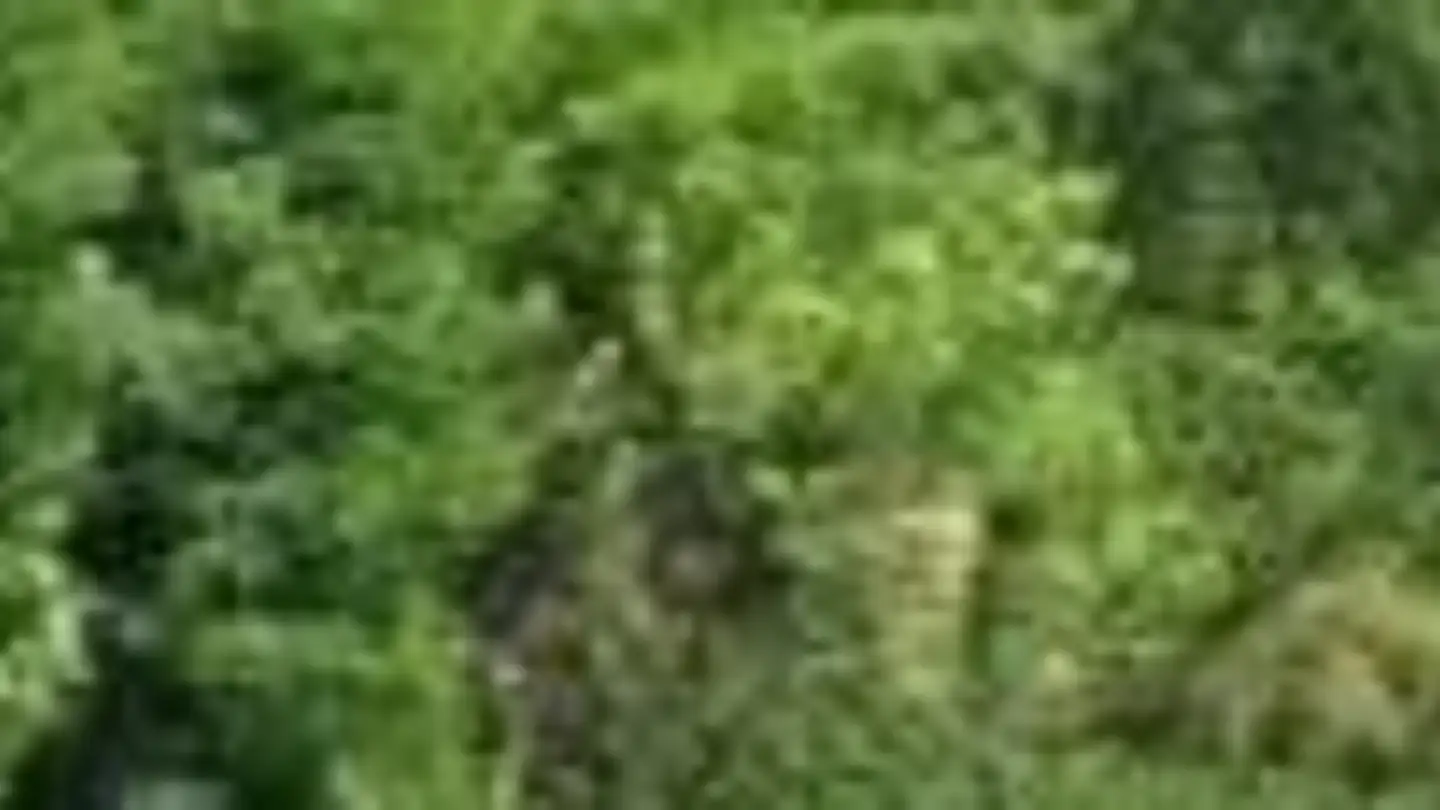 Appartement à louer - Aarmattweg, 3052 Zollikofen