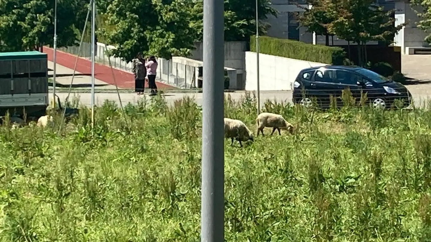 Zimmer mieten - 8302 Kloten - Foto 3
