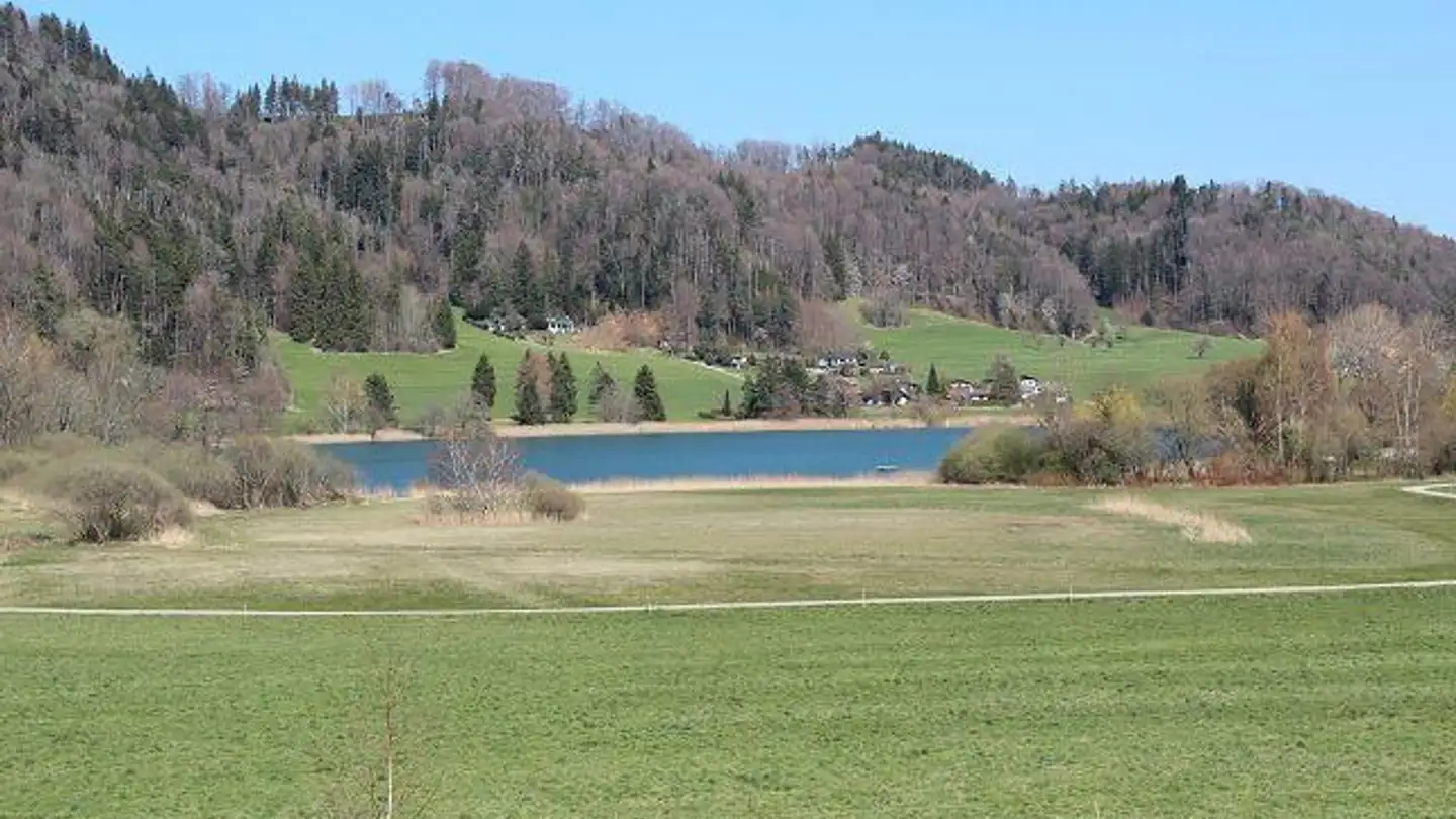 Ferme à vendre - 8363 Bichelsee