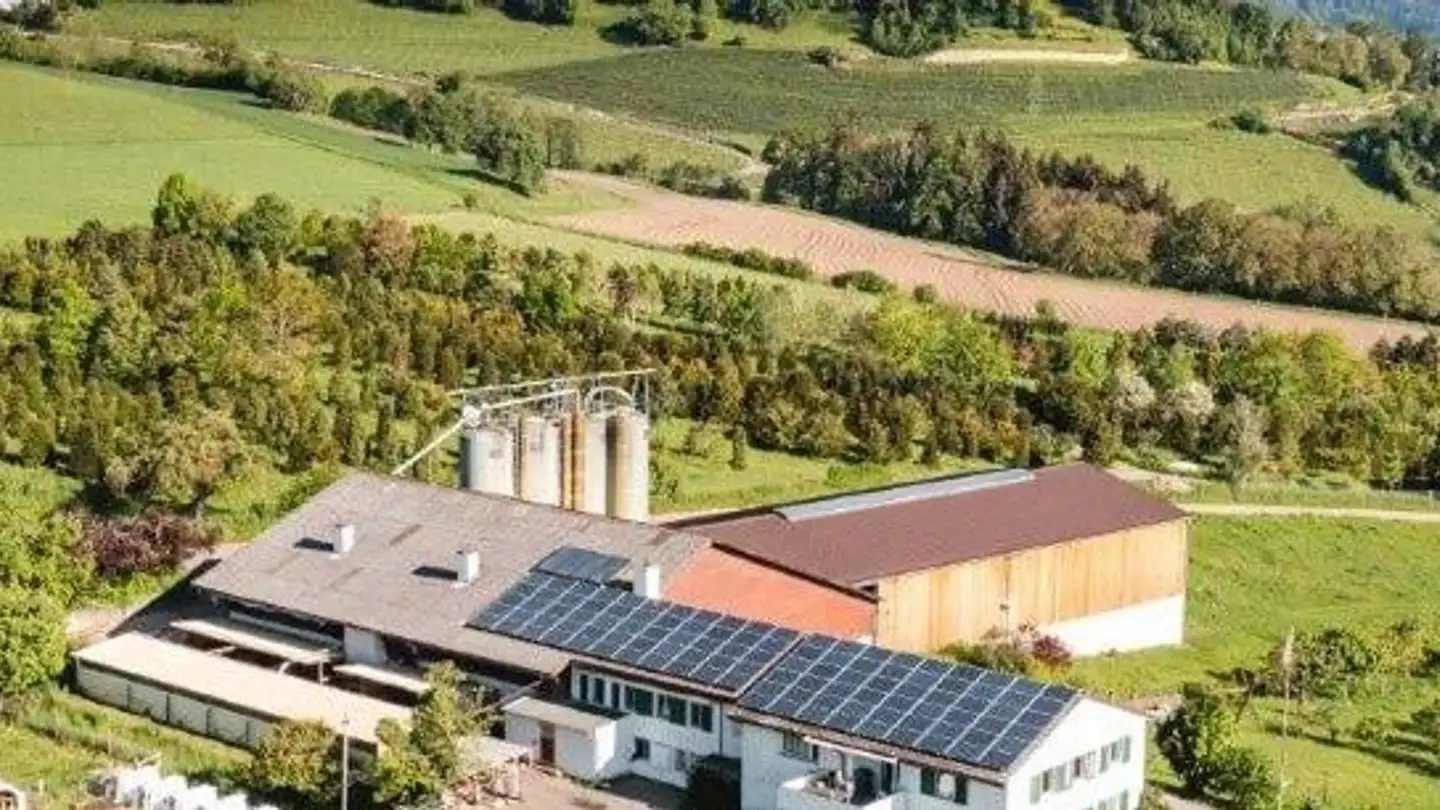 Appartamento in affitto - Bergstrasse 21, 8157 Dielsdorf