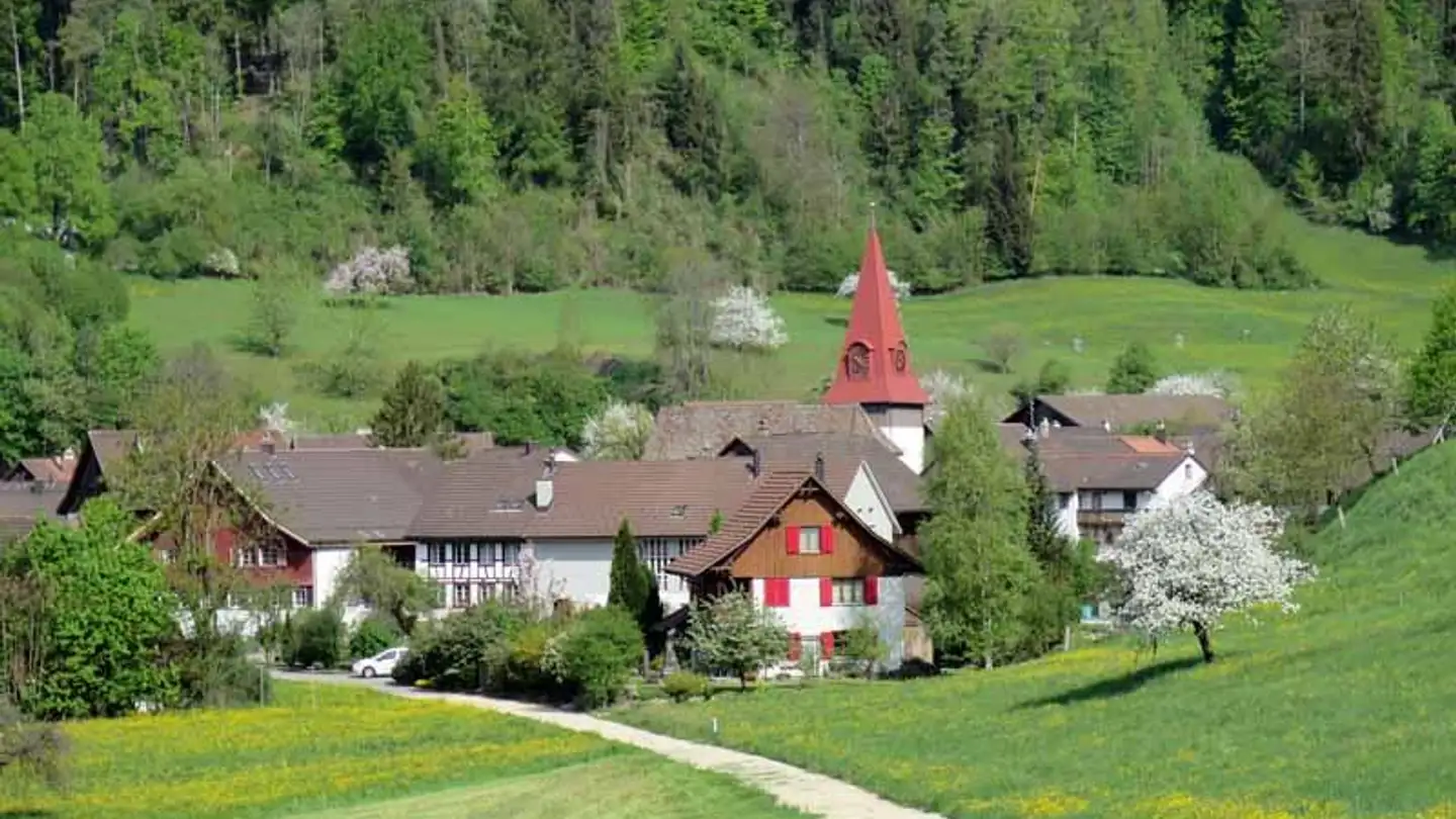 Terrain constructible à vendre - 8487 Zell ZH