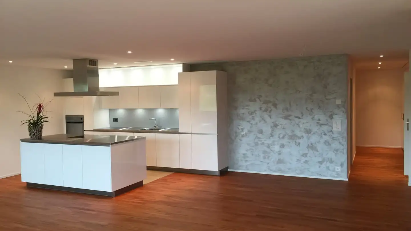 Appartement à louer - Am Stadtrand 51a, 8600 Dübendorf