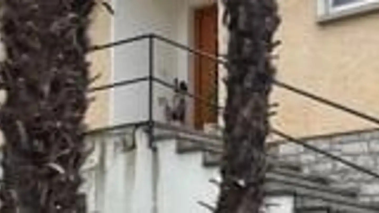 Casa bifamiliare in vendita - Via Loco 7, 6963 Pregassona - Photo 2