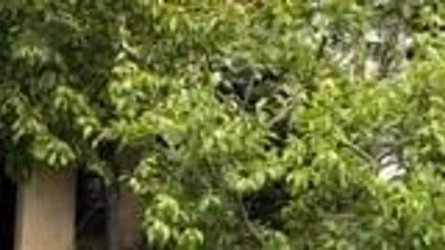 Casa bifamiliare in vendita - Via Loco 7, 6963 Pregassona - Photo 4