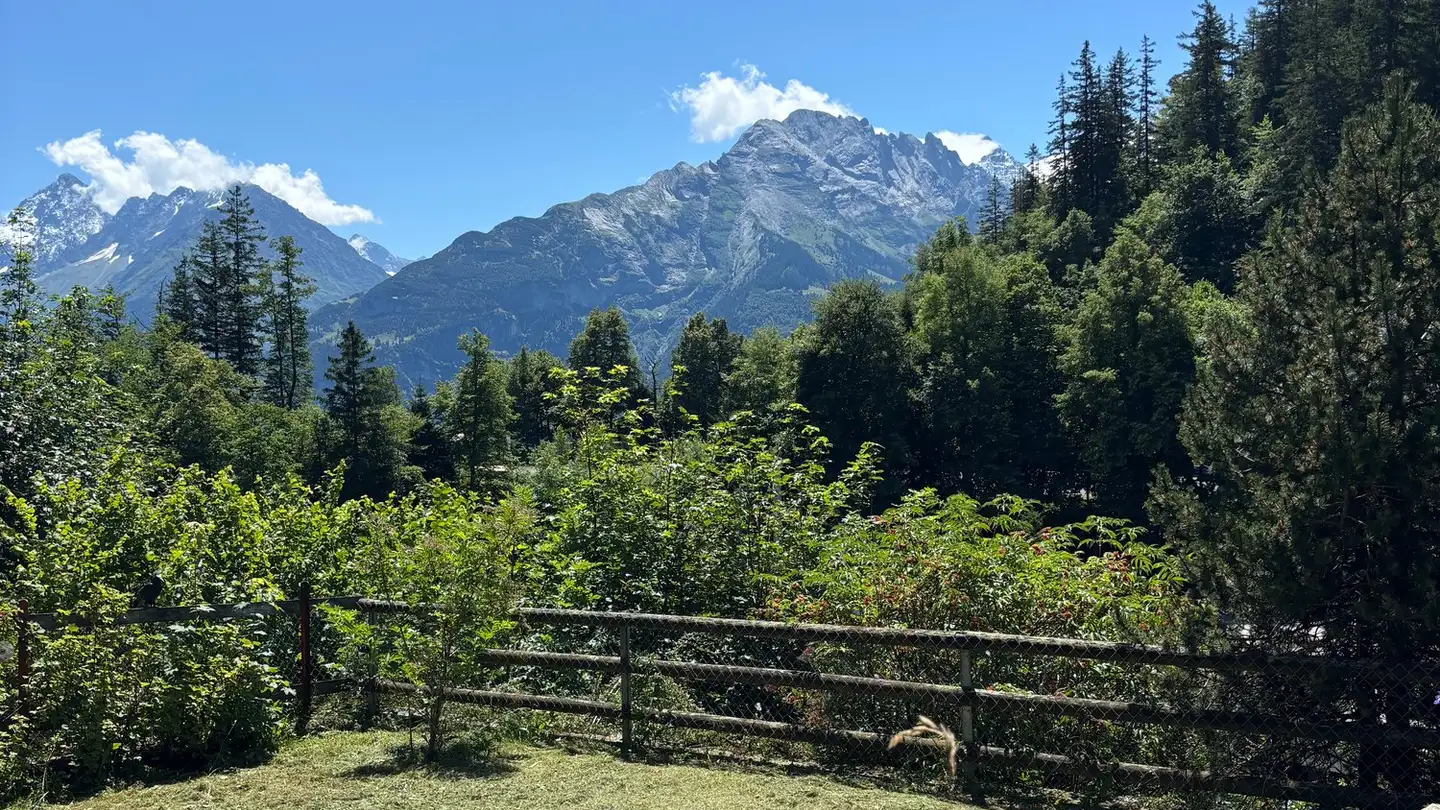 Casa singola in vendita - 6084 Hasliberg Wasserwendi - Photo 3