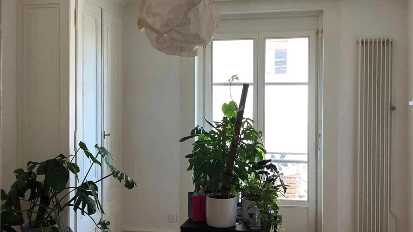 Appartement à louer - Boulevard De Pérolles 26, 1700 Fribourg - Photo 3