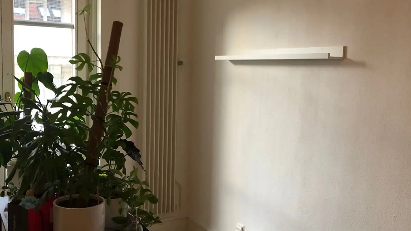 Appartement à louer - Boulevard De Pérolles 26, 1700 Fribourg - Photo 4