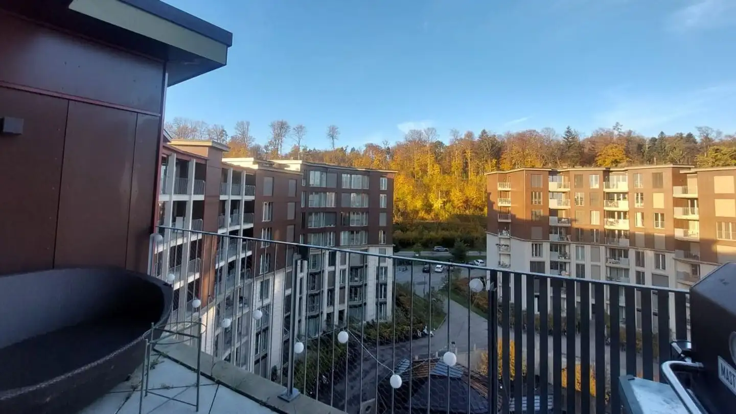 Stanza singola in affitto - Käferholzstrasse 46, 8057 Zürich