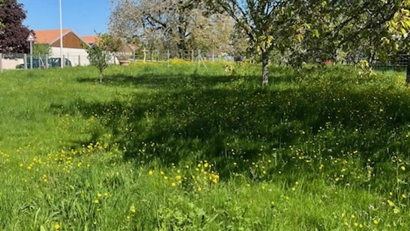 House for sale - Bure, 2915 Bure