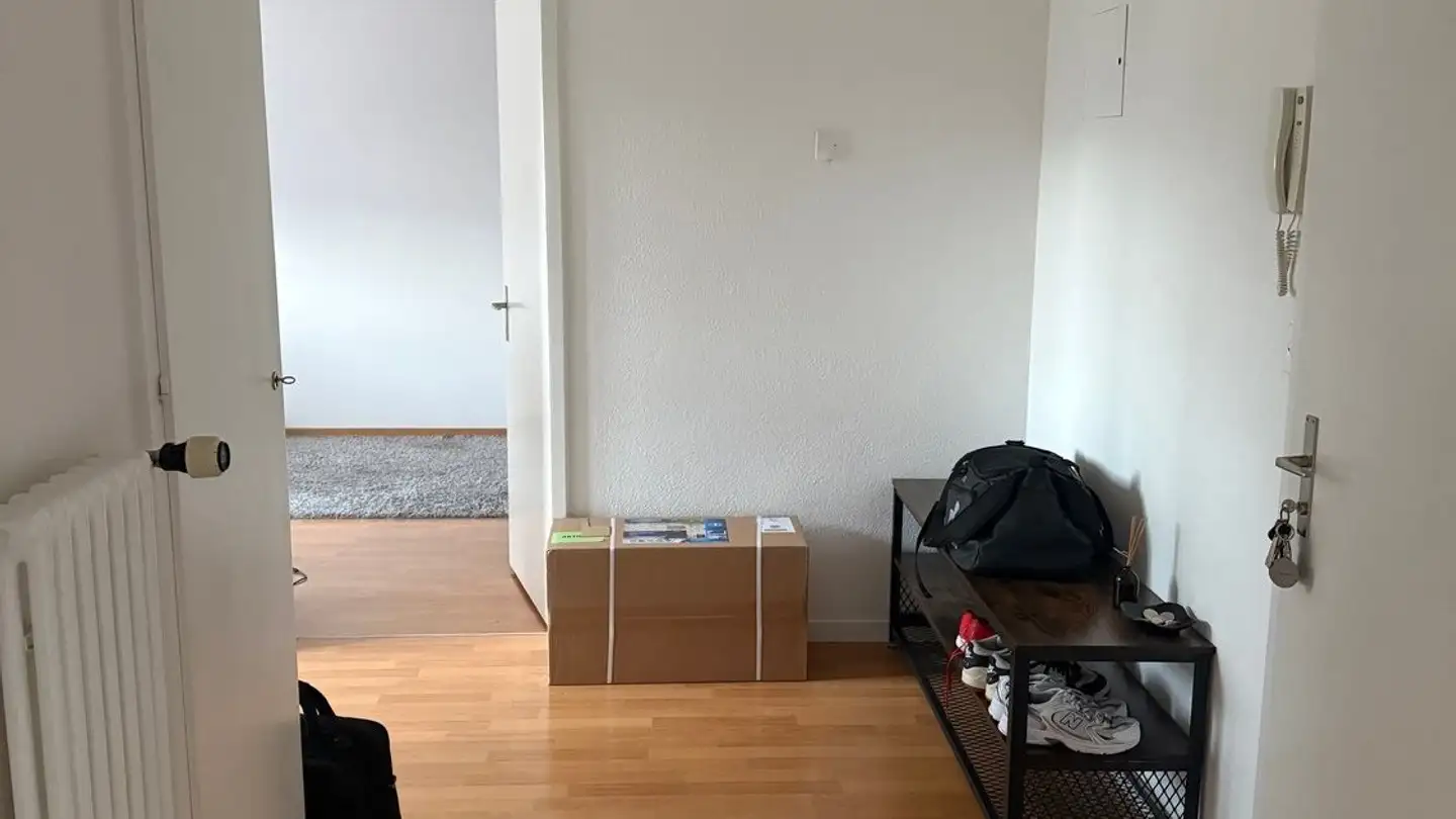 Apartment for rent - Böhlerstrasse 7, 5726 Unterkulm
